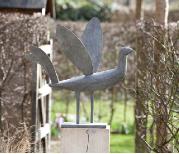 sparkerly eyed owl detail - long legged fancy bird