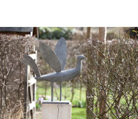 long legged fancy bird